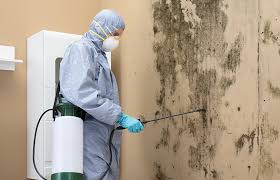 Best HVAC Mold Inspection and Cleaning in Oak Leaf, TX